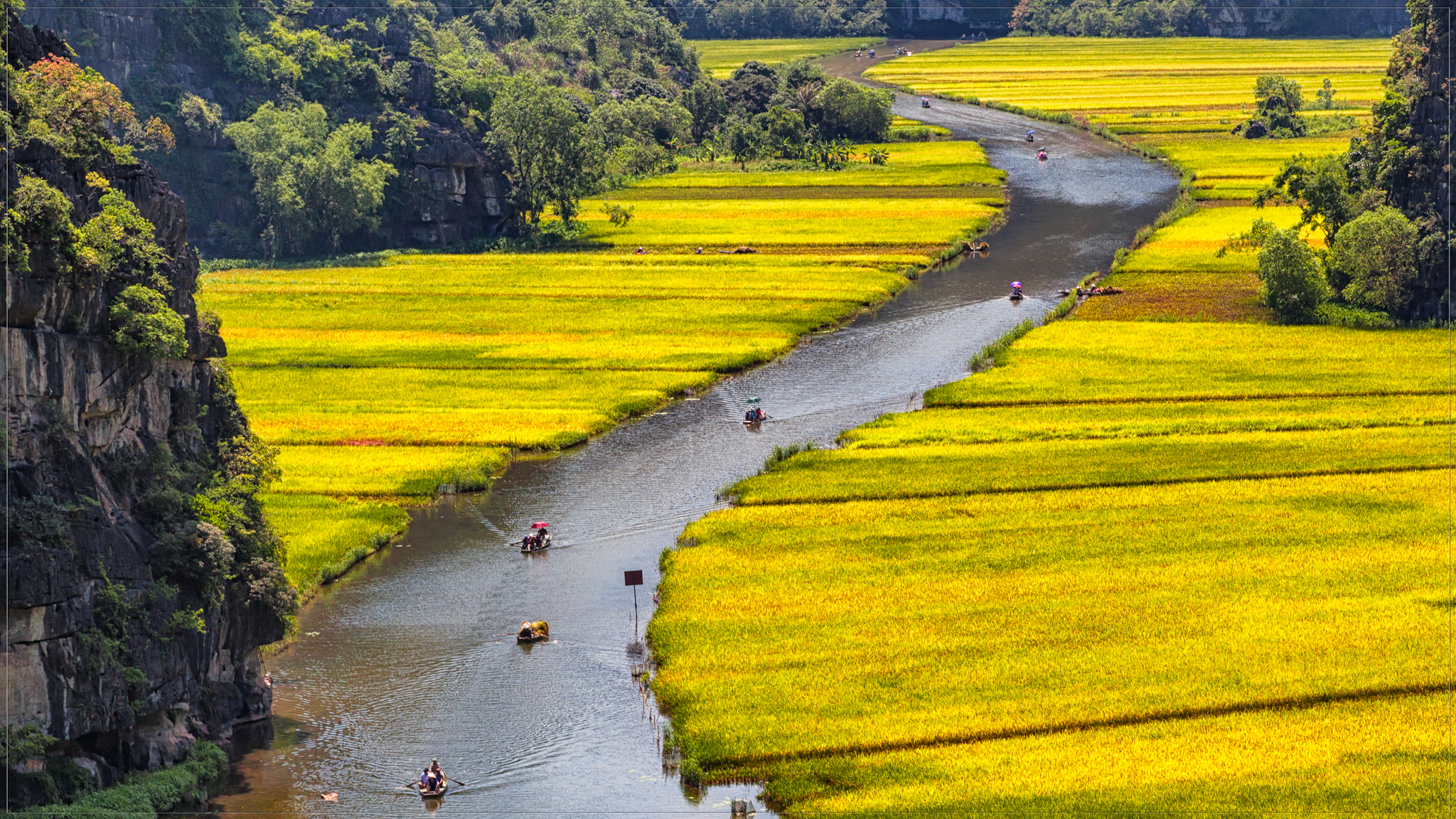 Vietnam - F372 - 11/07/2026 -  Juillet-2026