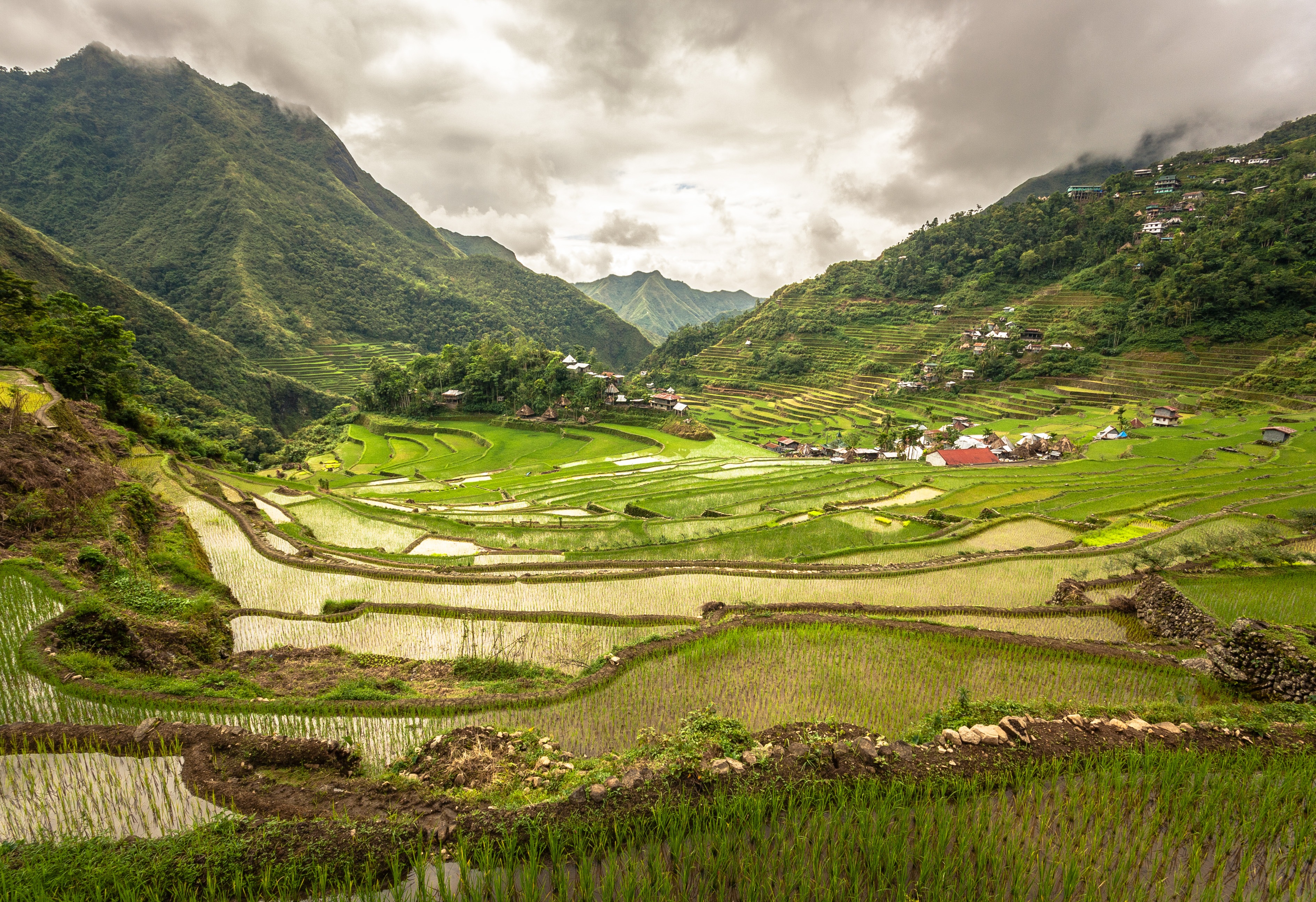 Philippines - A237 - 20/01/2027 -  Janvier-2027