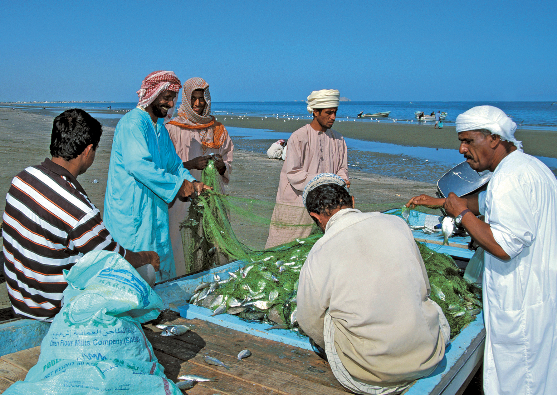 Oman - A313 - 02/11/2026 -  Novembre-2026