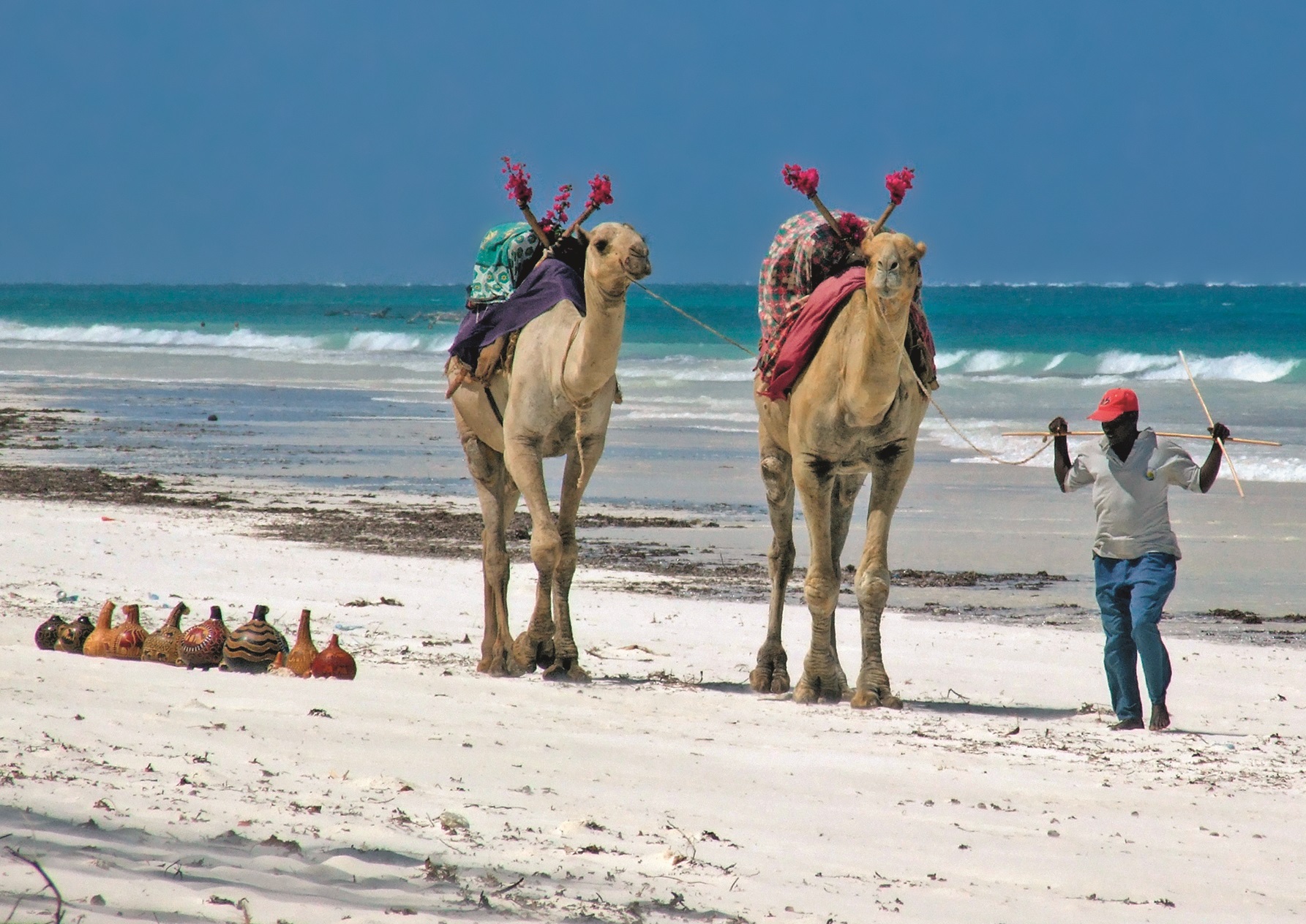 Zanzibar - F154 - 19/07/2026 -  Juillet-2026