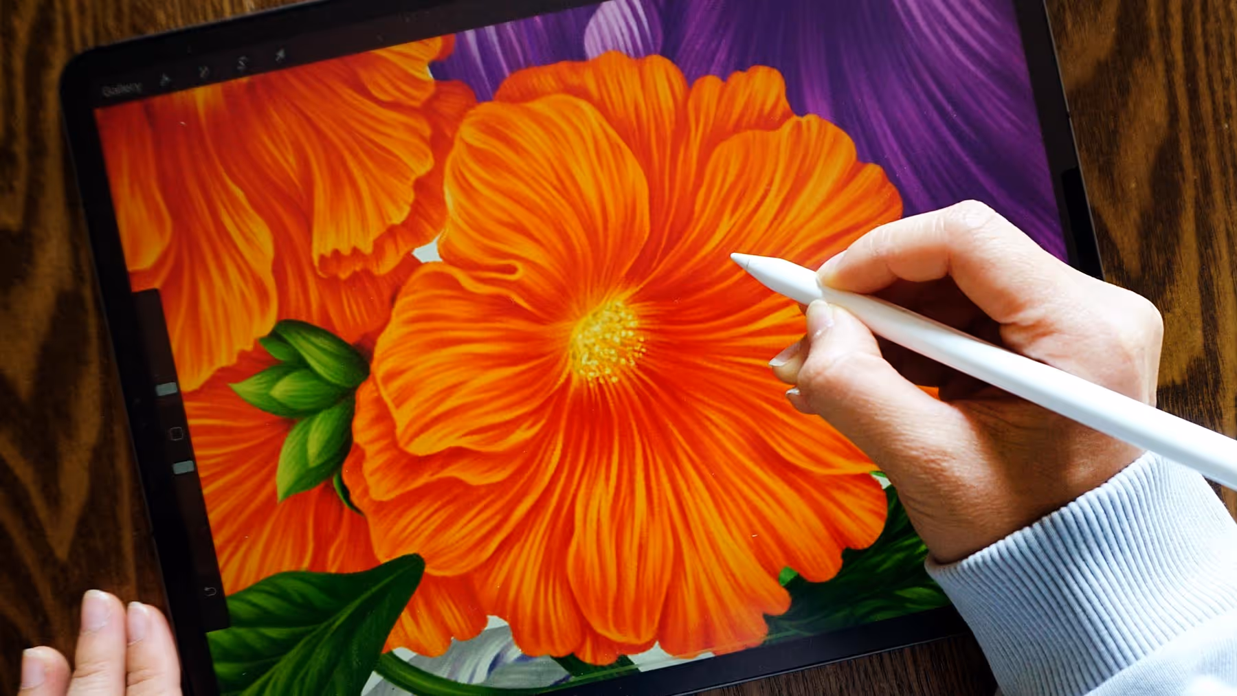 Procreate classes