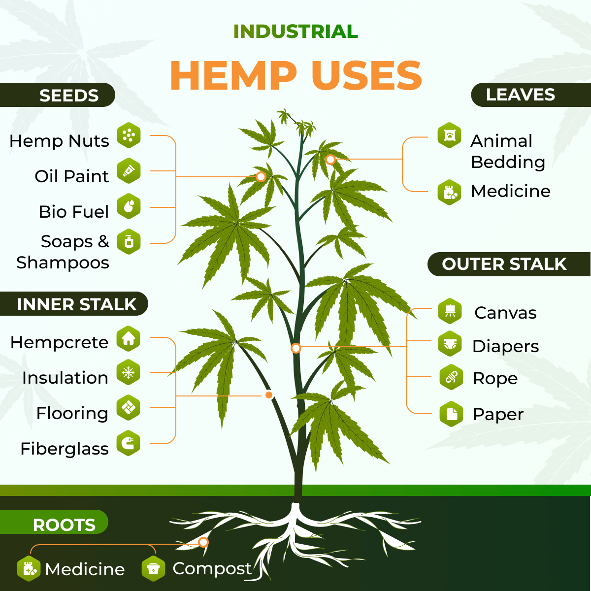 Seeds, leaves, roots, and stems of the industrial hemp plant can be used in a variety of industries including animal bedding, soap, medicine, and food.
