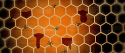 animation bee hive