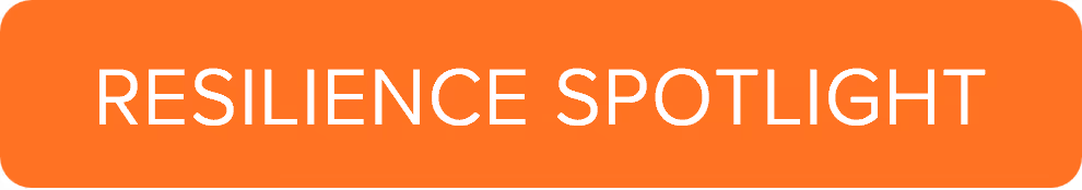 Resilience Spotlight section