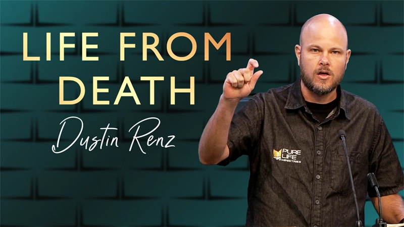 Life From Death by Dustin Renz on 08/26/26