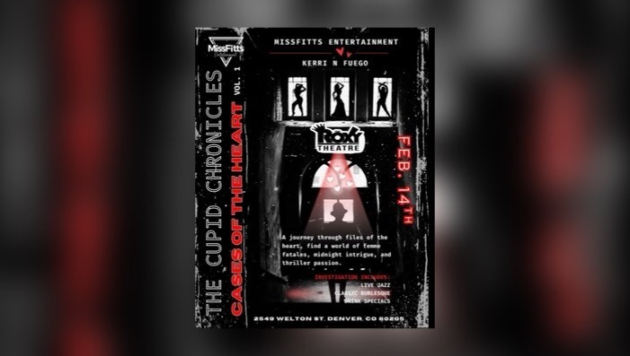 The Cupid Chronicles: Cases of The Heart