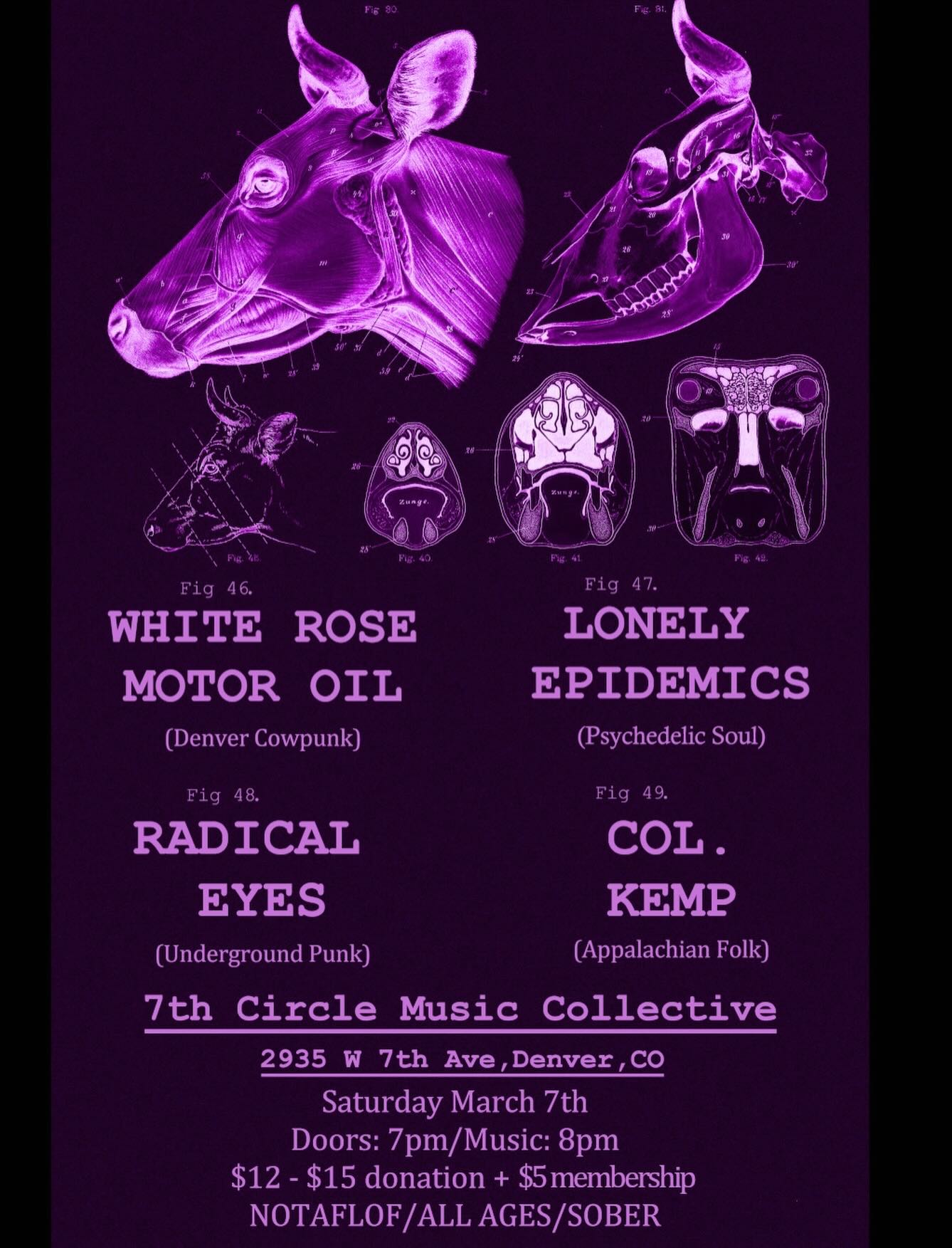 White Rose Motor Oil, 
      Lonely Epidemics, 
      Radical Eyes, 
      Col. Kemp