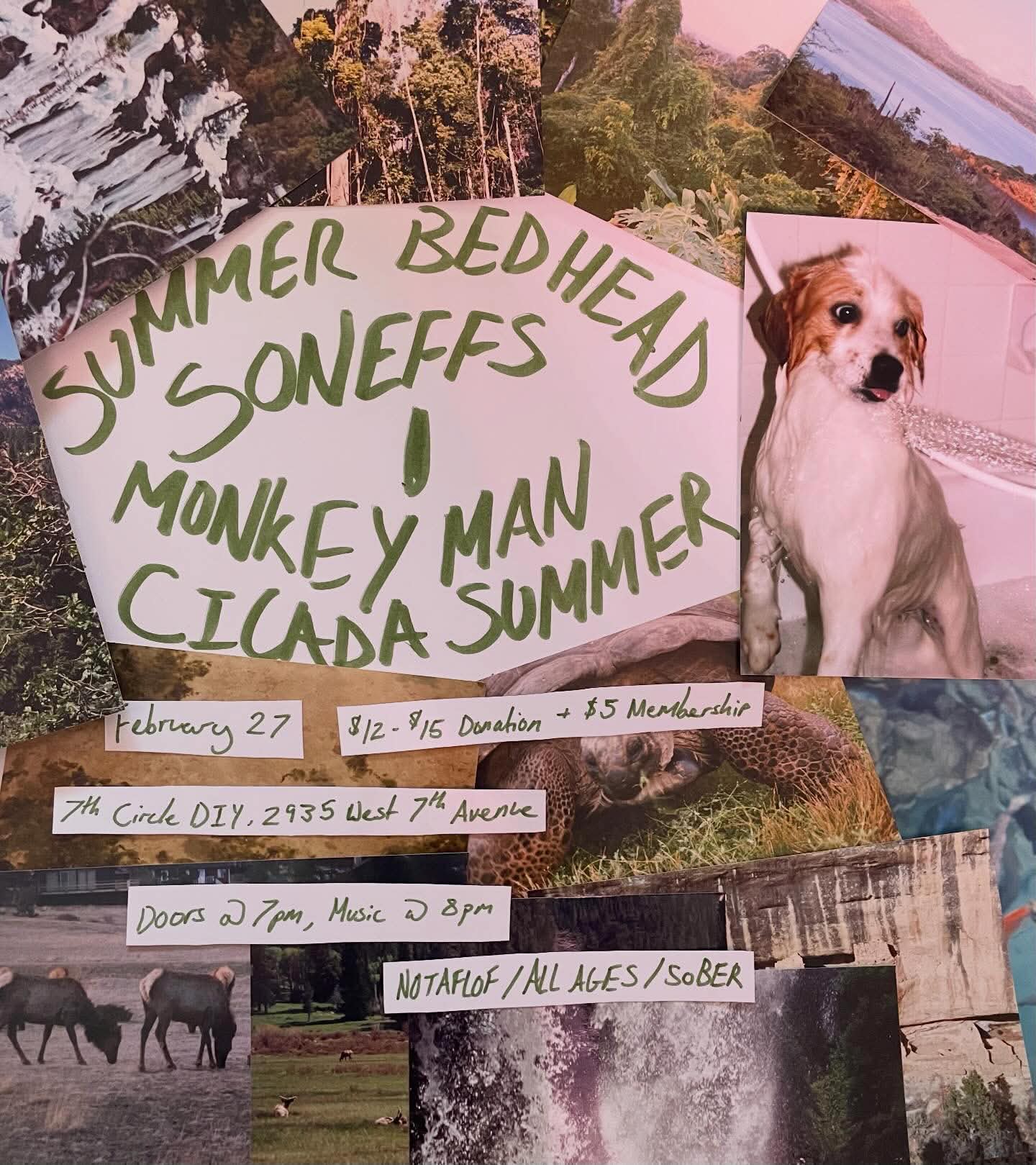 Summer Bedhead, 
      Soneffs, 
      Monkey Man, 
      Cicada Summer