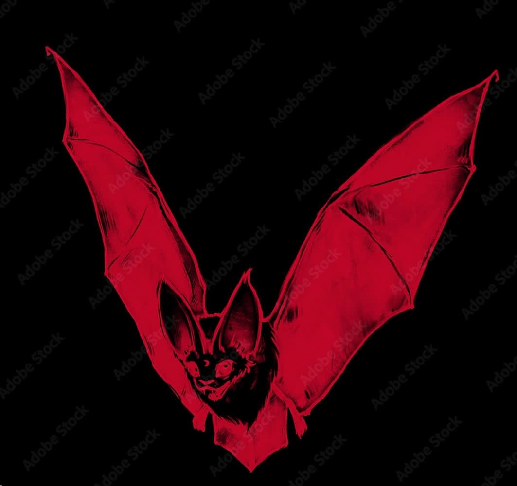 Cruel Mourning - Album Release