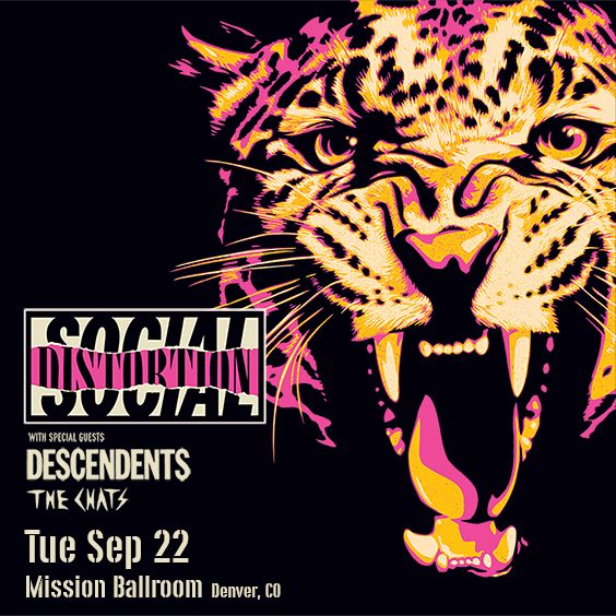 Social Distortion