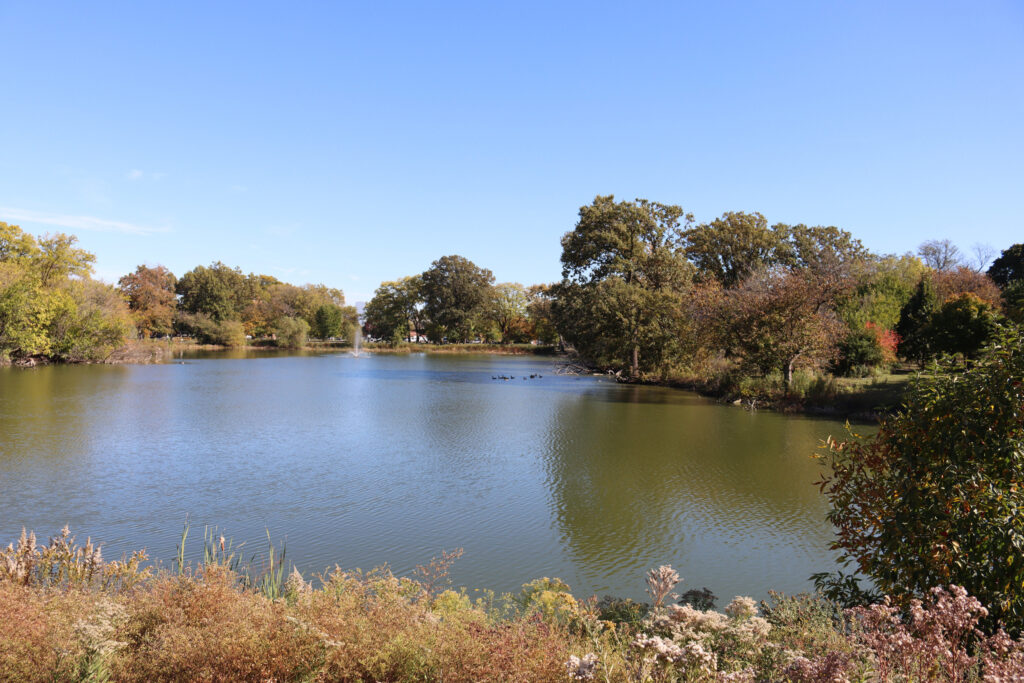 The lagoon at Garfield Park offers calm water, tree reflections, and the sound of geese and ducks. Credit: Yiannis Mastoras/Inside Climate News