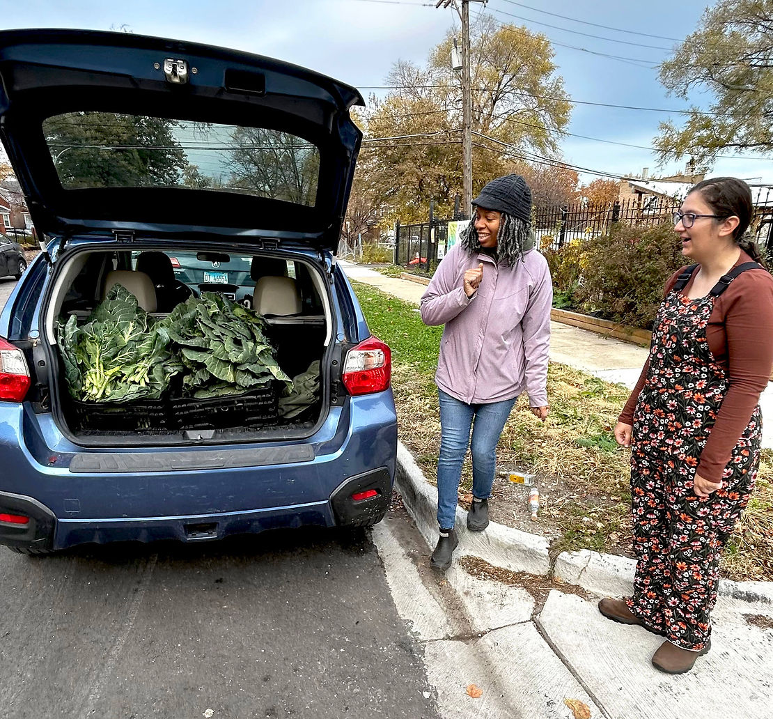 LaShawn Miller (left) with Eleanor Kole of the West Garfield Community Council during the latter's pickup of collard greens at Finding Justice Garden. Photo by Bob Heuer.