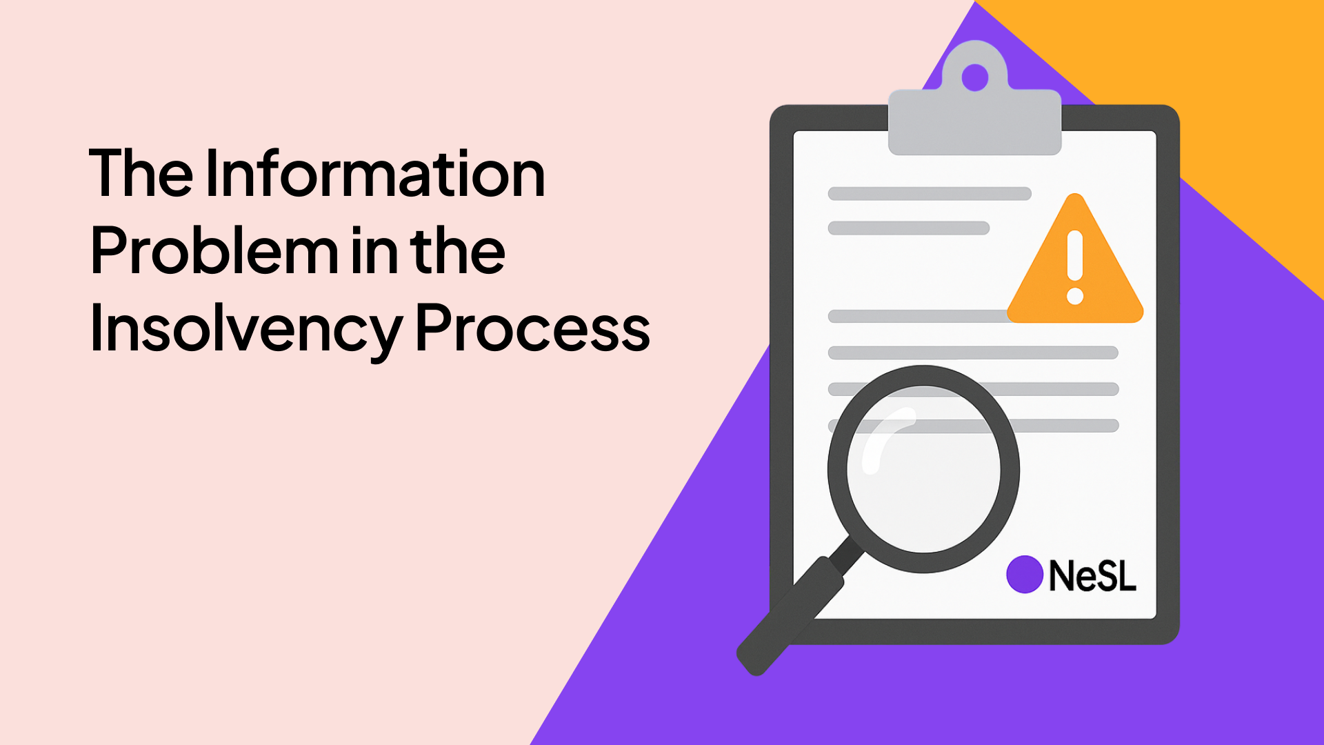 The Information Problem in the Insolvency Process