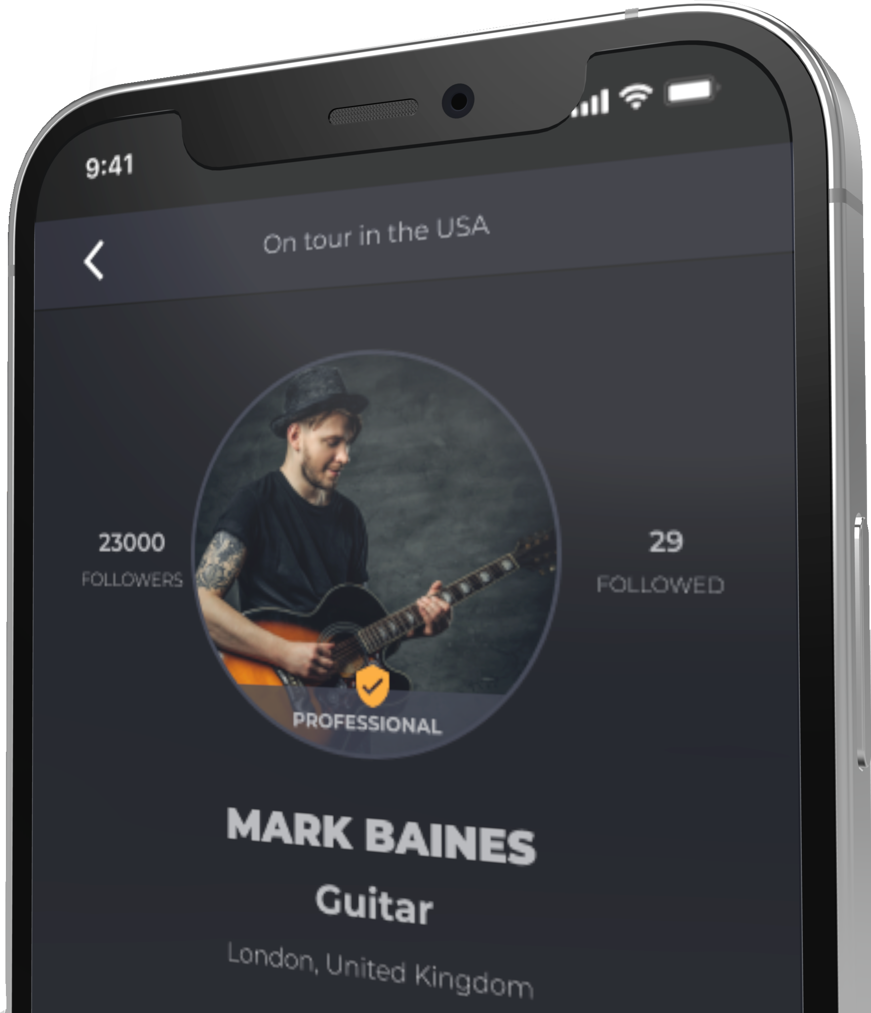Guitarist musikian