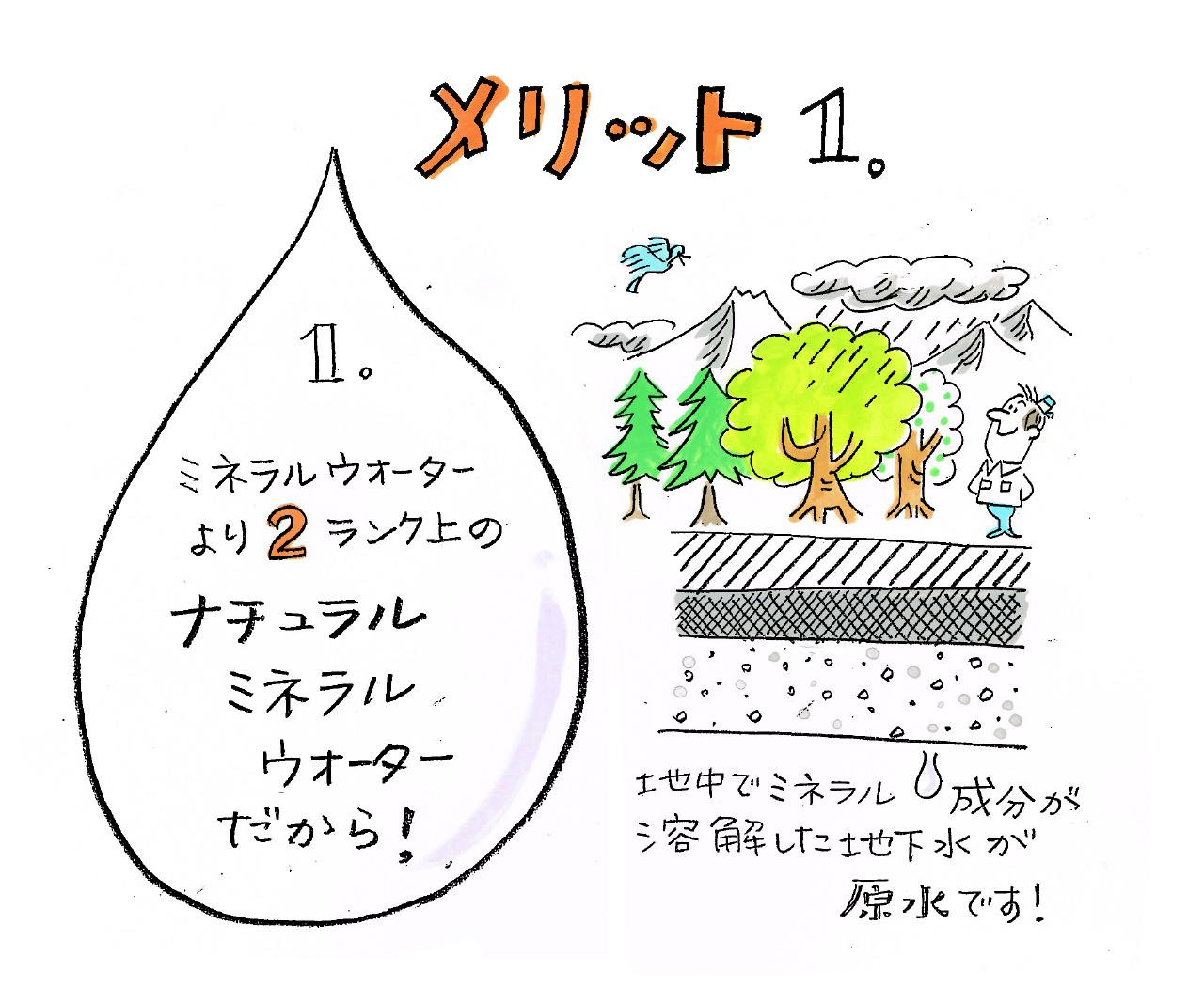 メリット1：ミネラルウォーターより2ランク上のナチュラルミネラルウォーターだから！地中でミネラル成分が溶解した地下水が原水です！