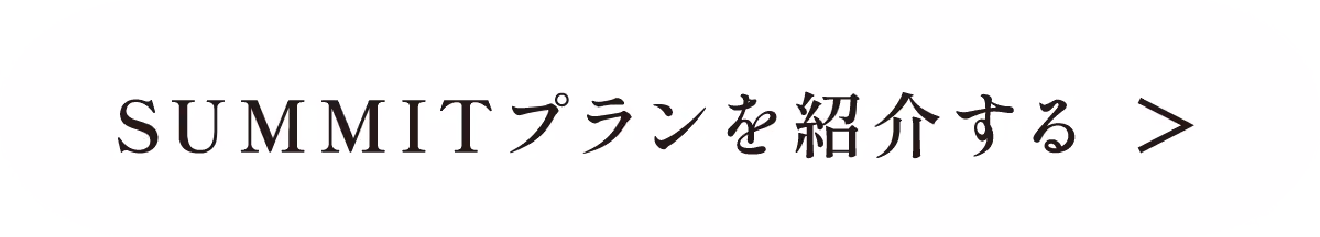 SUMMITプランを紹介する