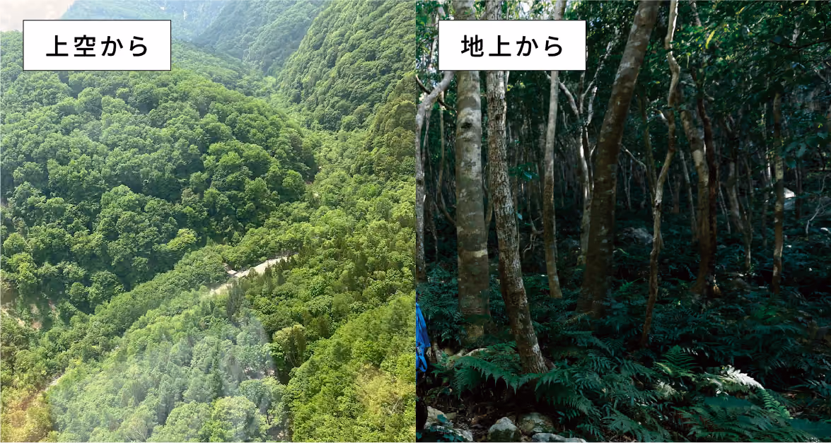 上空からと地上からの写真