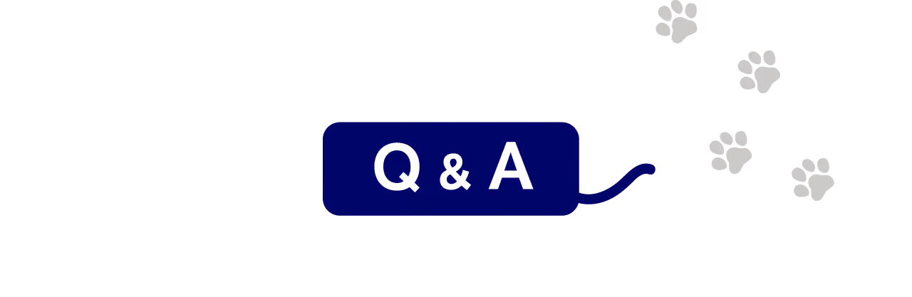 Q&A