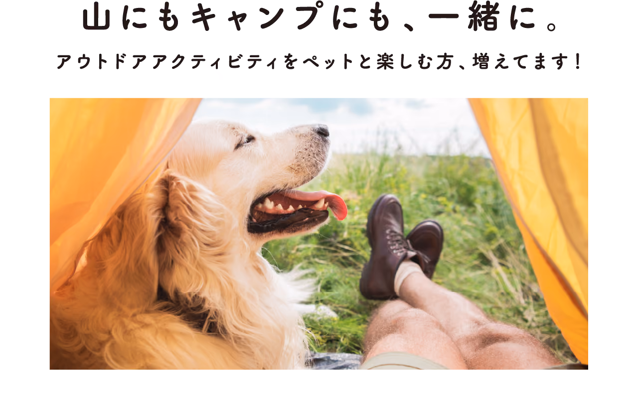 山にもキャンプにも、一緒に。アウトドアアクティビティをペットと楽しむ方、増えてます!