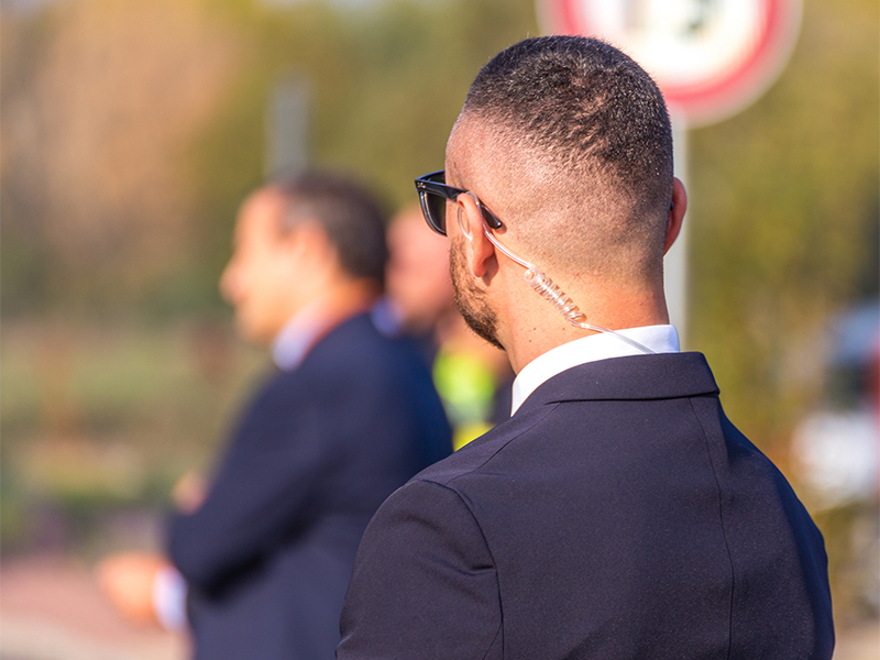 Main Layout Screenshot