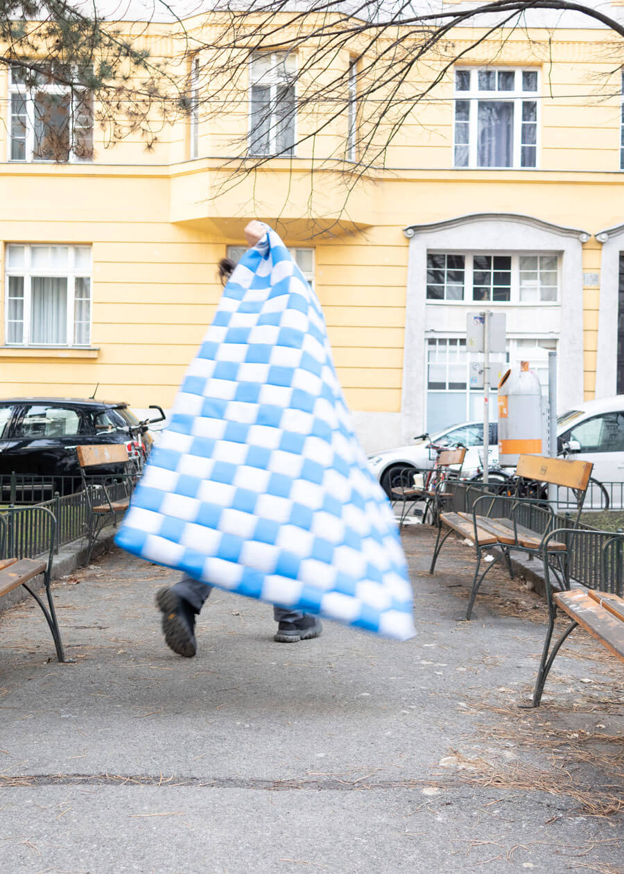 A Picnic Blank for Rudolf von Alt-Platz