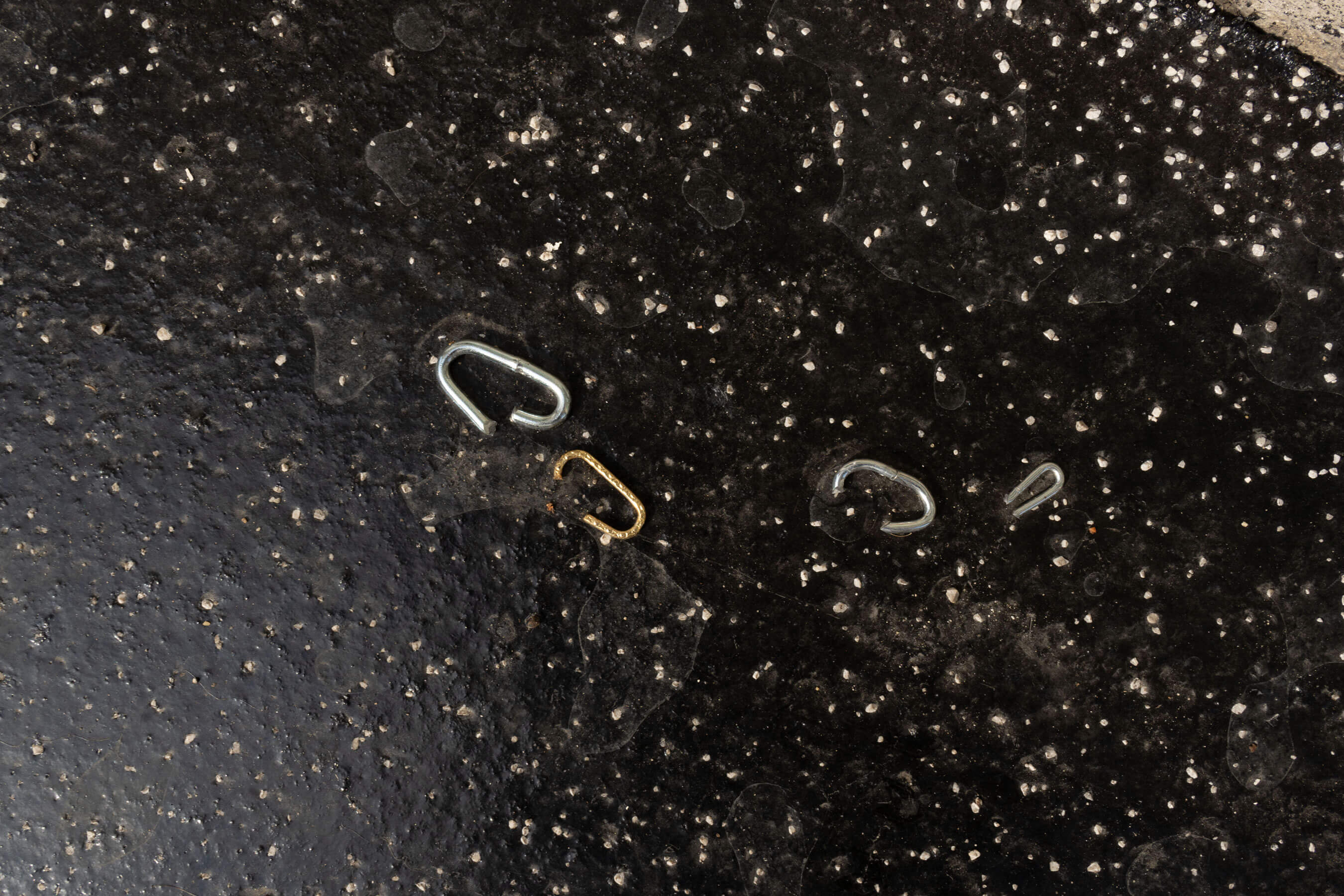 Anna Lerchbaumer