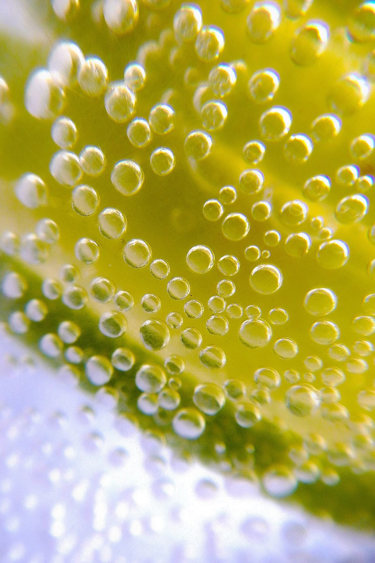 Der neue adidas ZX 8000 Frozen Lemonade bringt Summer Vibes