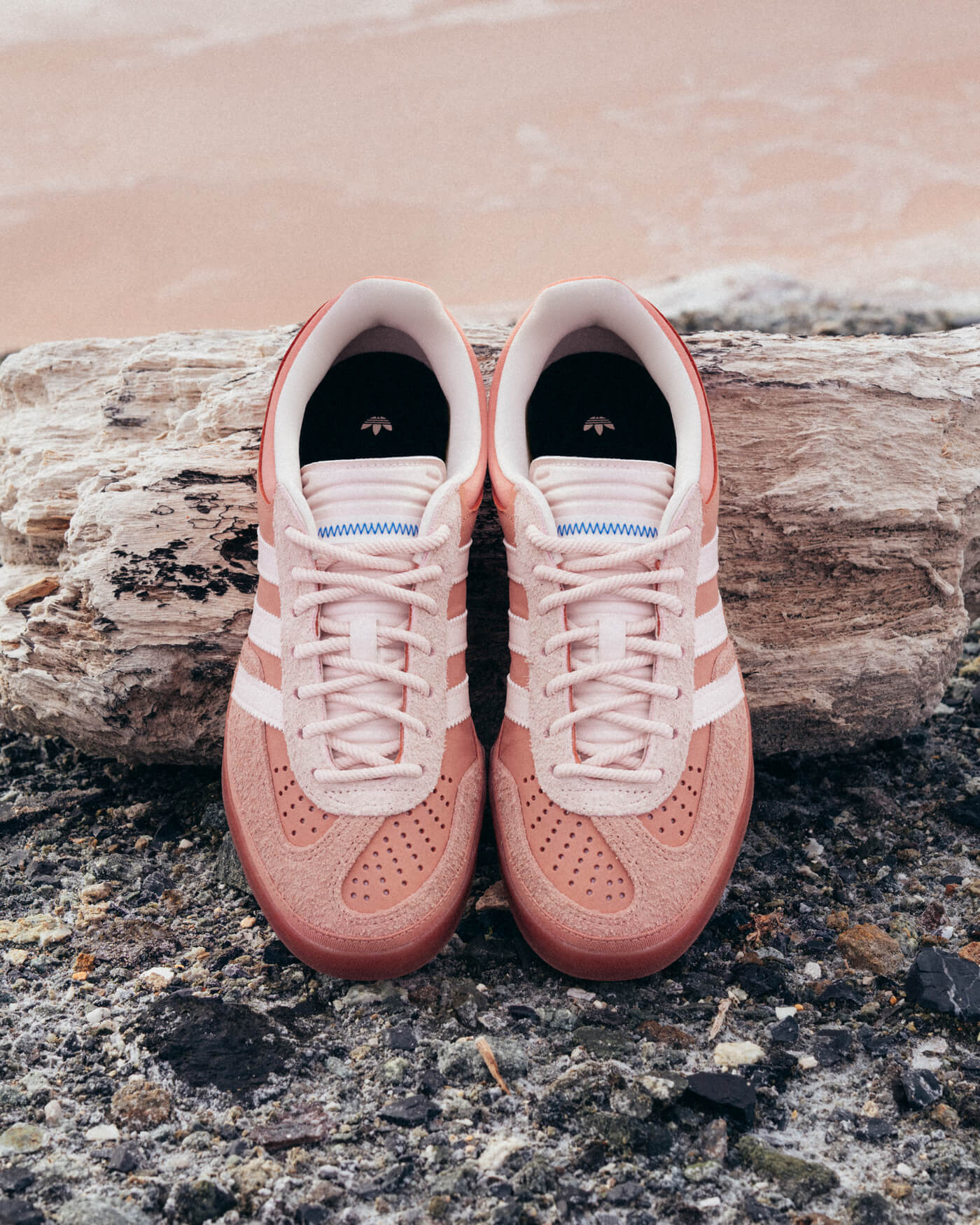 adidas Originals x Bad Bunny Gazelle "Cabo Rojo" - Wonder Clay/Wonder Quartz/Ash Pink - JS5052