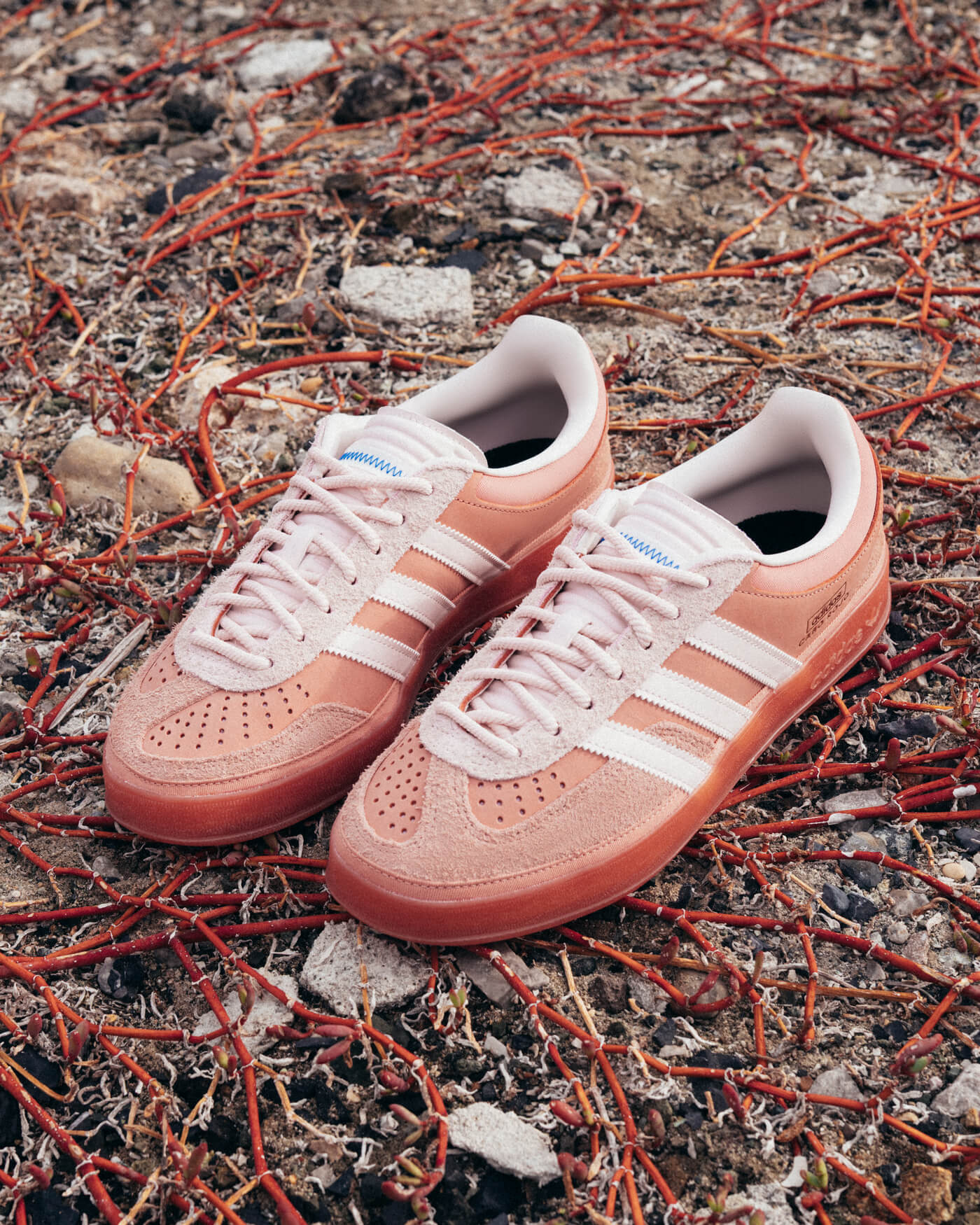 adidas Originals x Bad Bunny Gazelle "Cabo Rojo" - Wonder Clay/Wonder Quartz/Ash Pink - JS5052