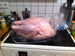 Thanksgiving Turkey in Germany