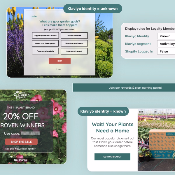 why brands chose Digioh popups