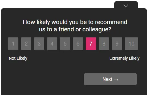 NPS survey theme example