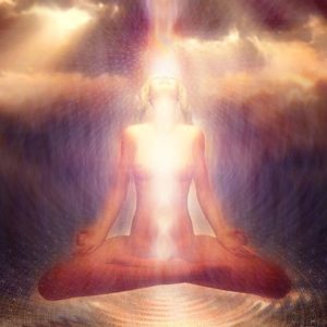 Your Light Body: Wellness & Ascension by Lani Reagan