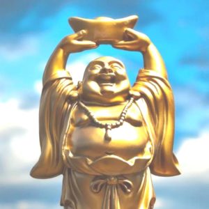 Your Light Body: Wellness & Ascension by Lani Reagan