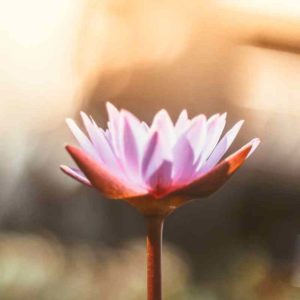 from self-doubt to personal empowerment | lani reagan