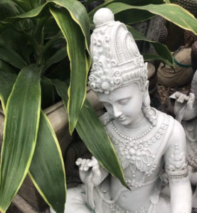 Life Mastery by Cancelling Out The Mind-Noise, by Lani Reagan