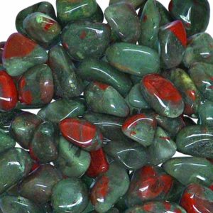 bloodstone and petrified wood | crystals