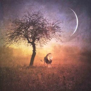 one journey many paths | july 2019