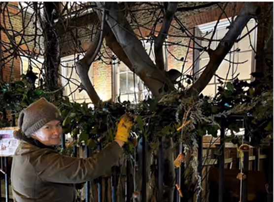 Festive Lane 2024-5