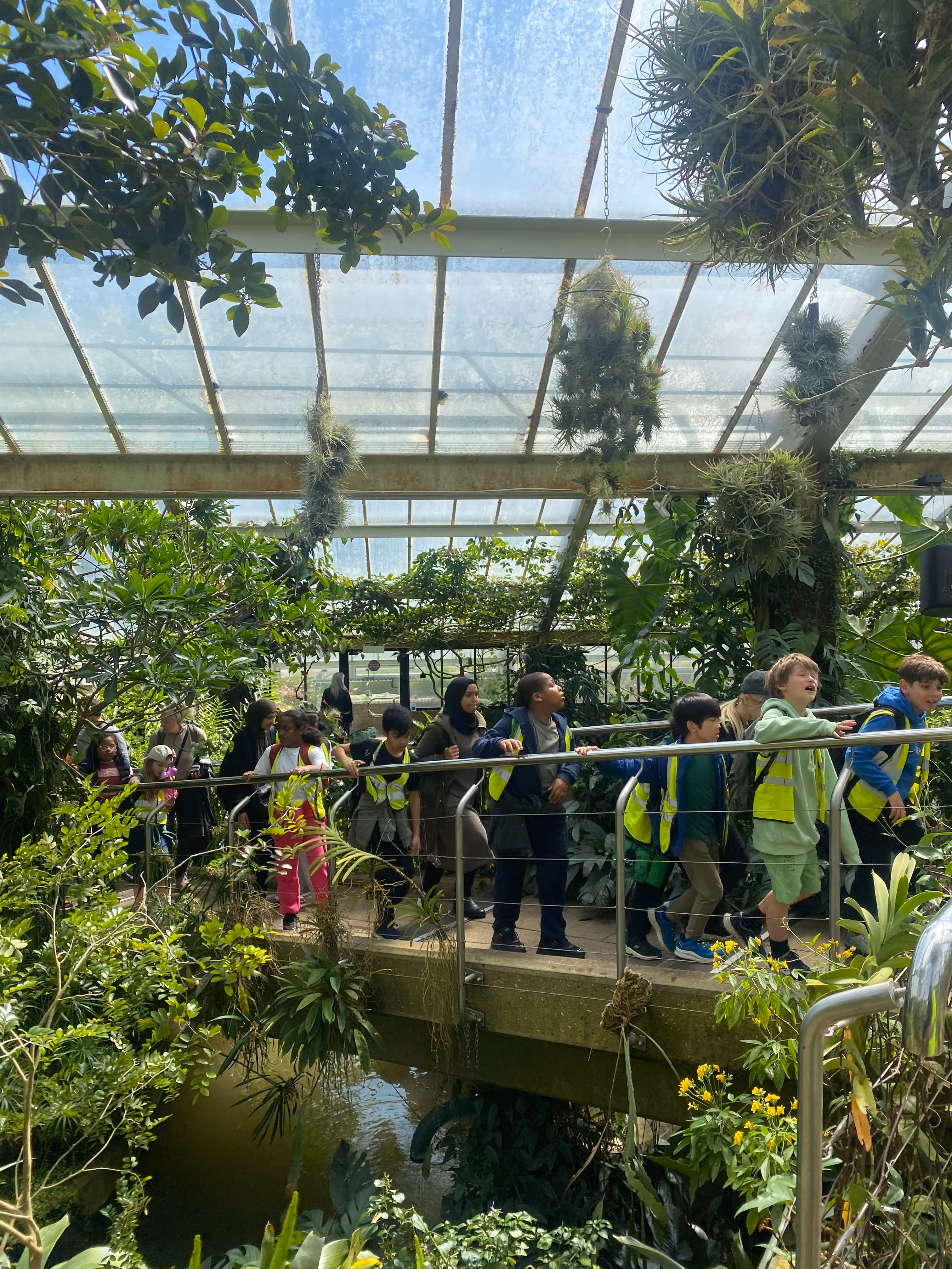 Year 4 Trip to Kew Gardens