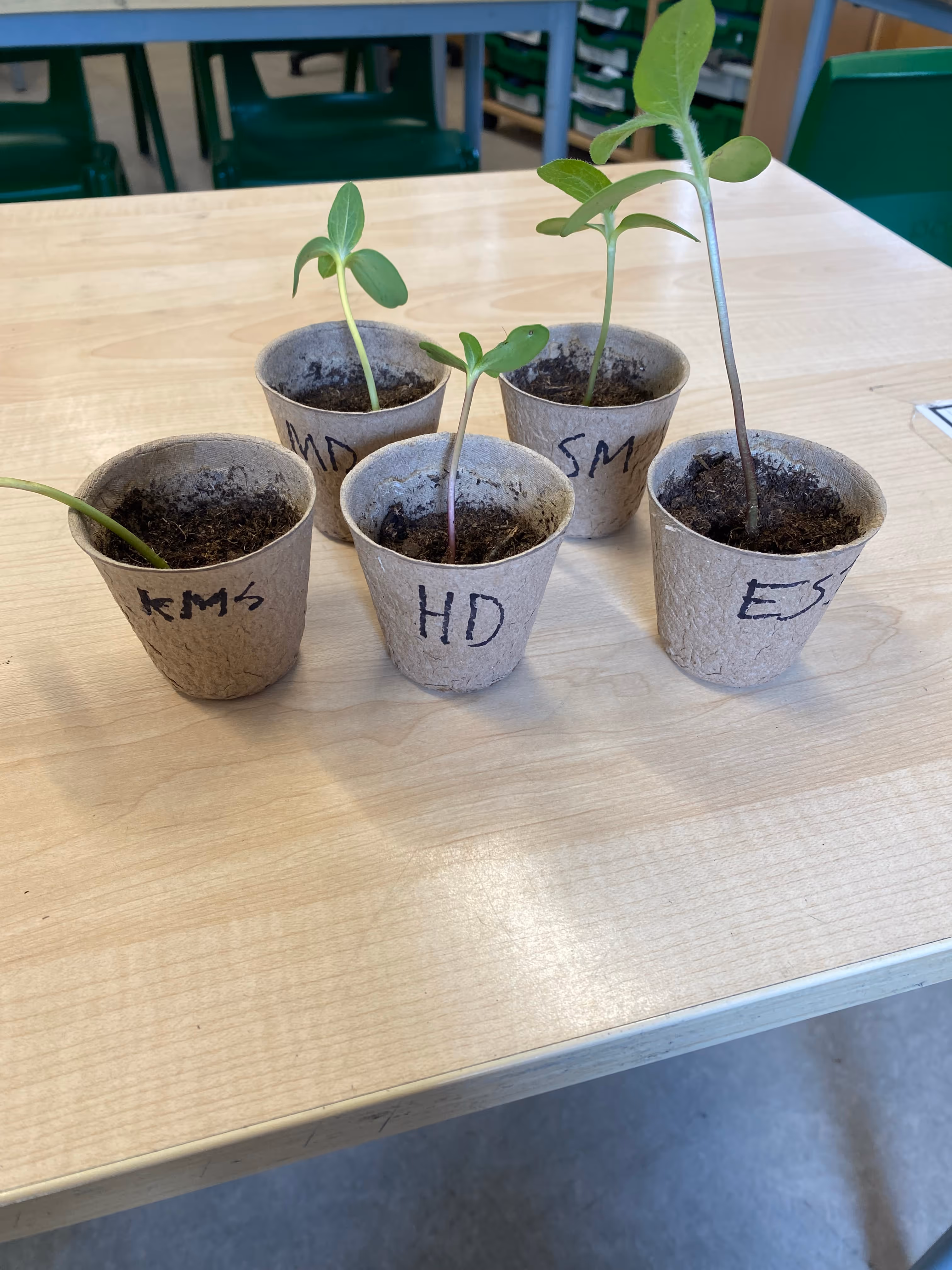 Update from Year Three