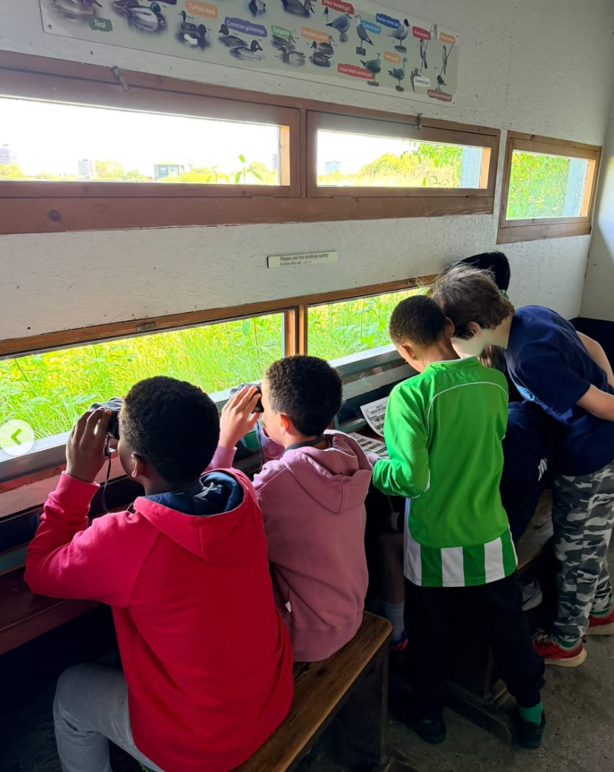 Bird Watching at The London Wetland Centre