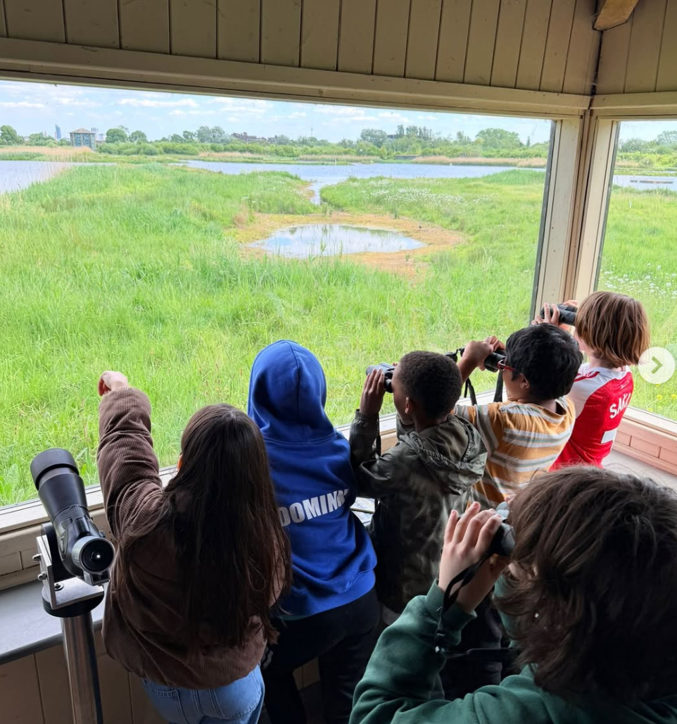 Bird Watching at The London Wetland Centre