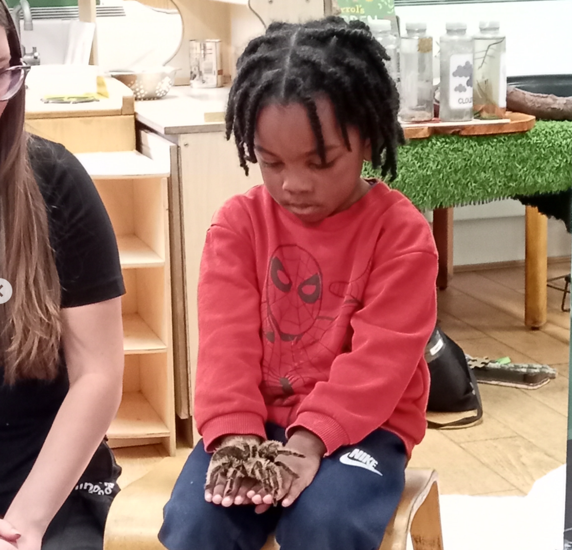 The Animals Take Over Nursery!
