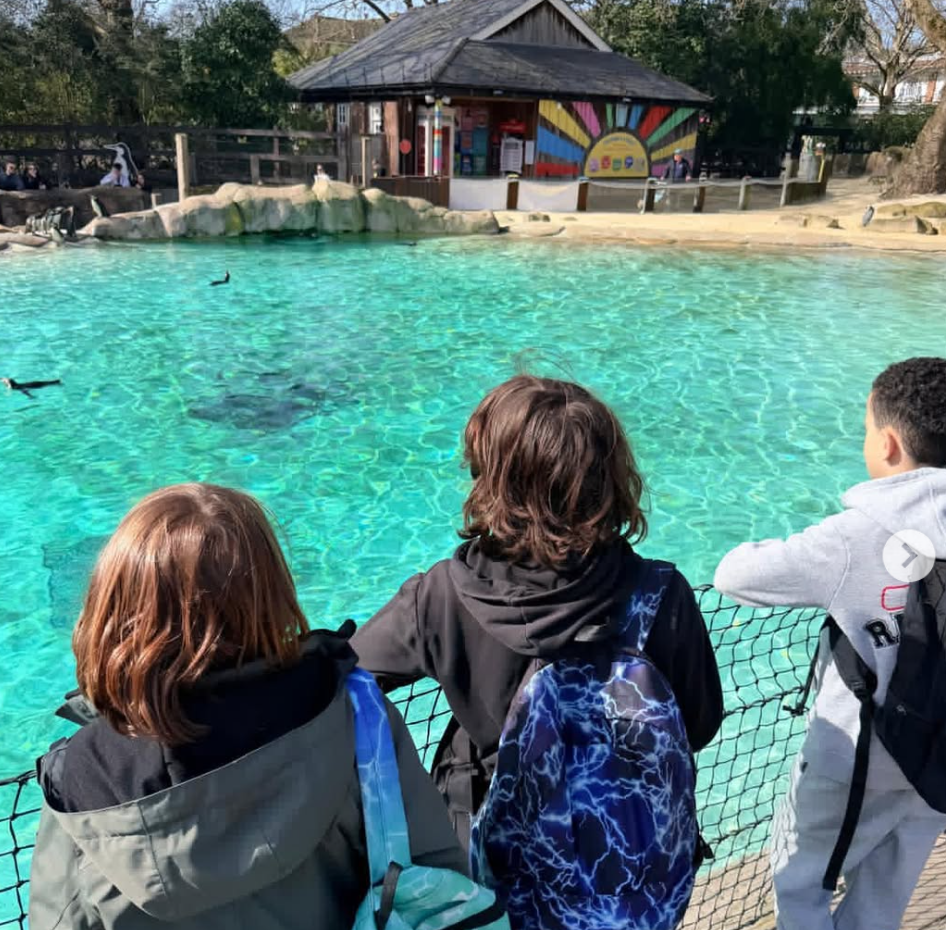 Year Five Visit London Zoo
