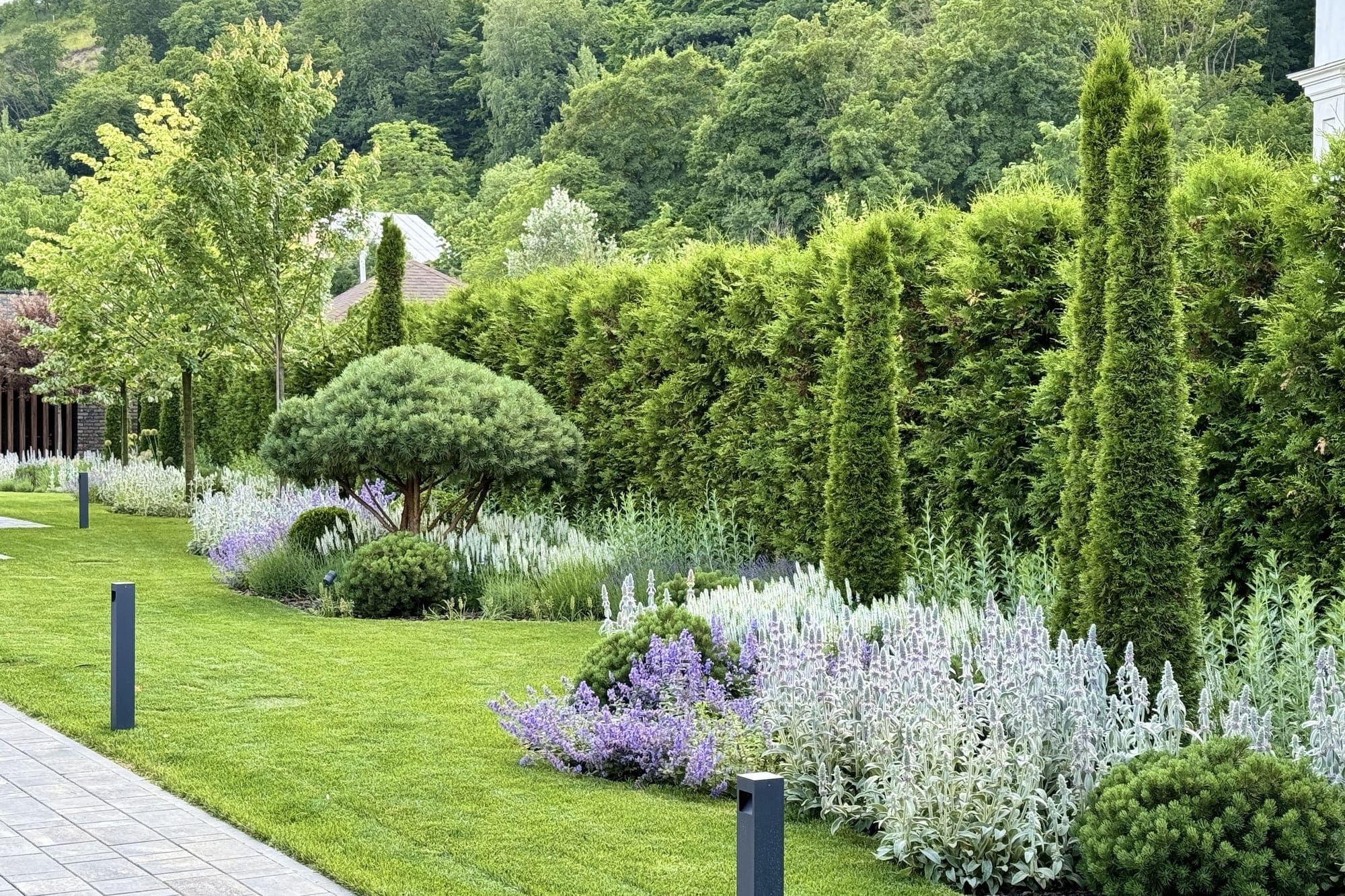 Ландшафтный дизайн коттеджного участка. Фото Магии сада