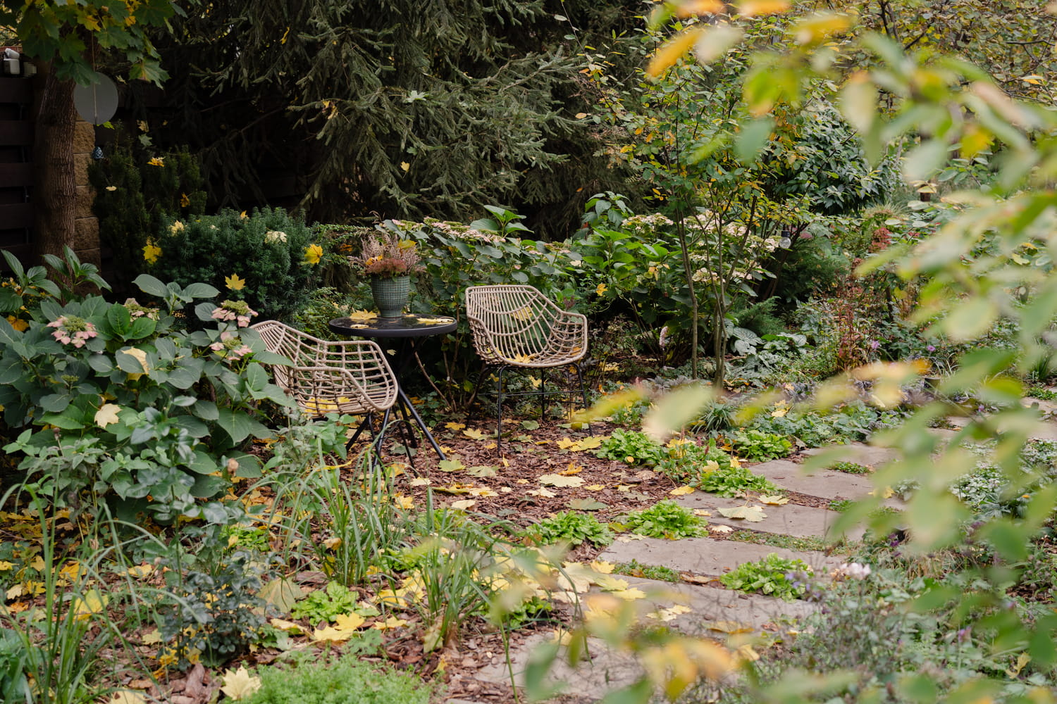 Рокарій і альпінарій в Києві