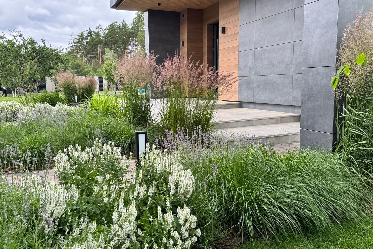 Рокарій і альпінарій в Києві