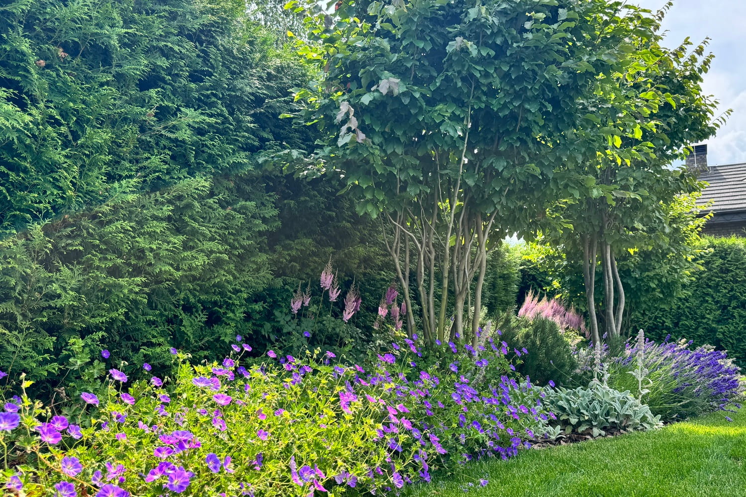 Клубника в декоративном огороде современного сада