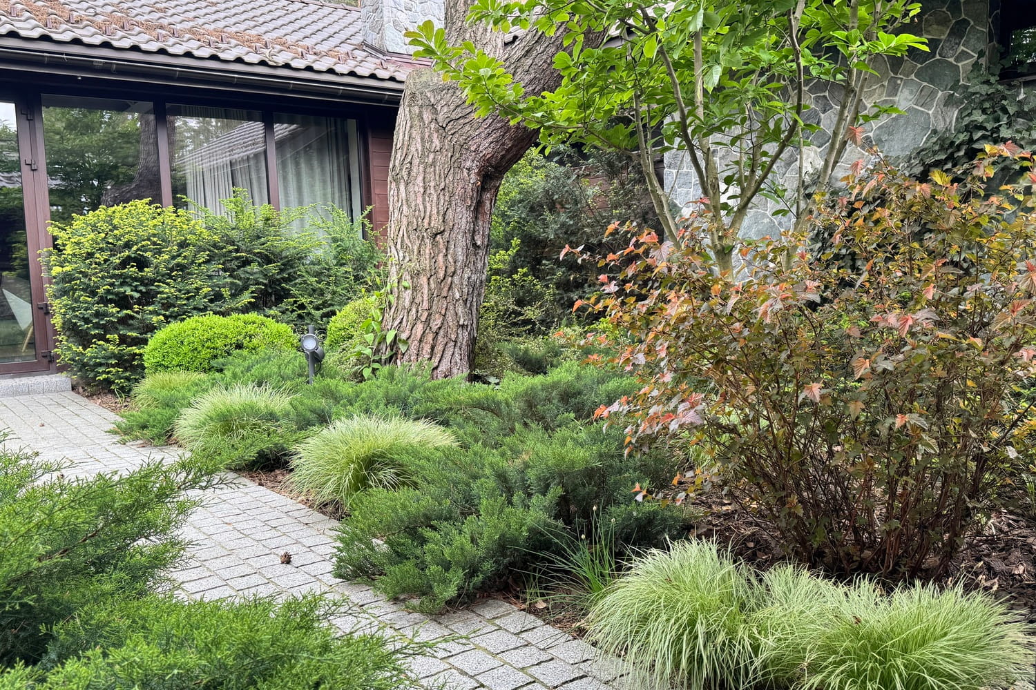 Современный ландшафт в Буче